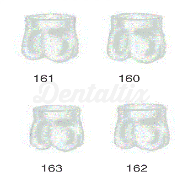 CORONAS TEMPORALES PRIMER MOLAR SUPERIOR DERECHA
