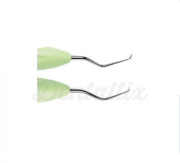 CURETA GRACEY LM 207/208 ES Img: 201809151