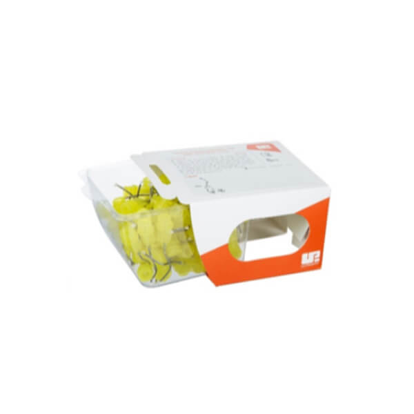 Pre-bent Needle With Brush Tip BDD-0329 Infusor Tips - Pre-bent Needle ...
