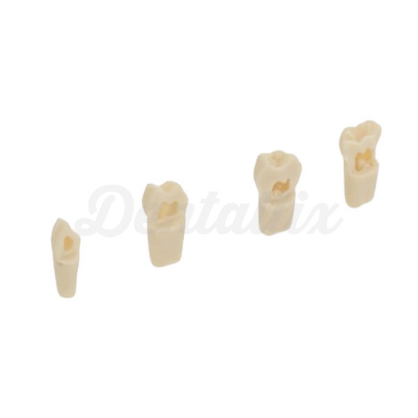 AK62Z: Modelo de Piezas Dentales Temporales para Preparaciones (10ud) - AK62ZPUL - Nr: 85 - 10 Ud Img: 202501251