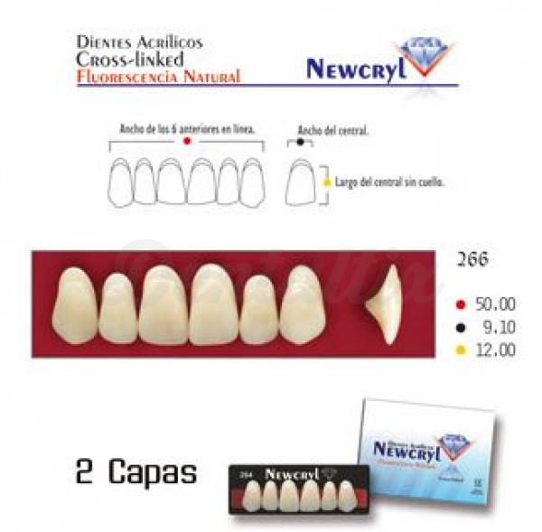 dientes newcryl 266 up a1