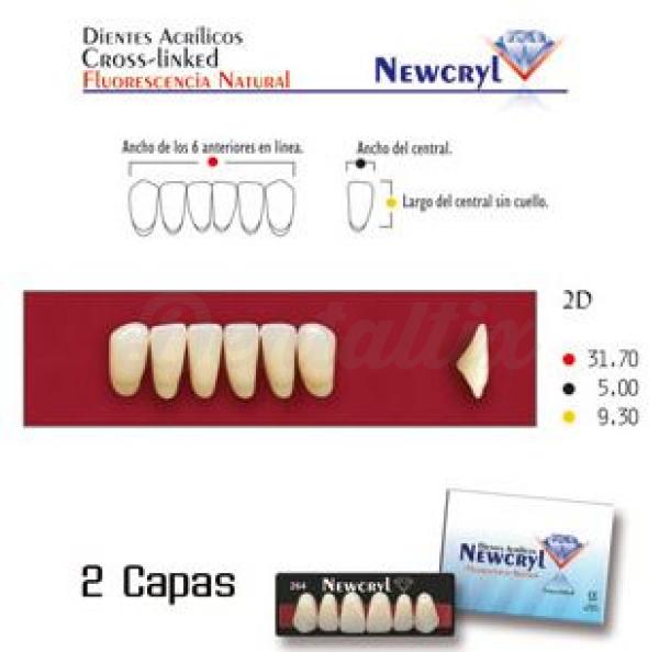 dientes newcryl 2n lo