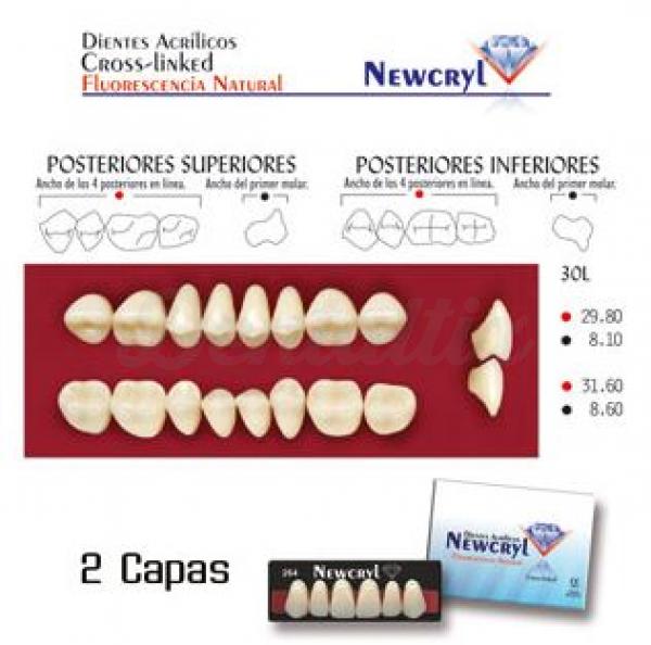 dientes newcryl 30l up b2