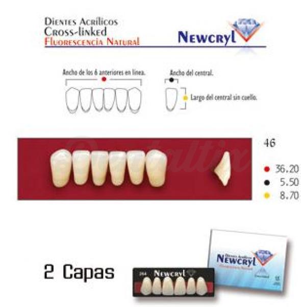 dientes newcryl 46 lo