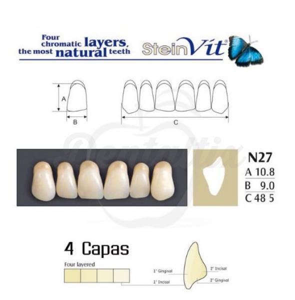 dientes steinvit n27 up