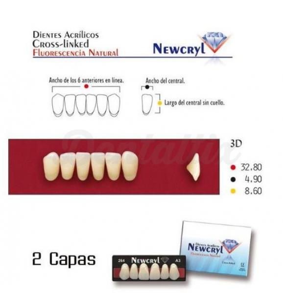 dientes newcryl vita 3p lo a1