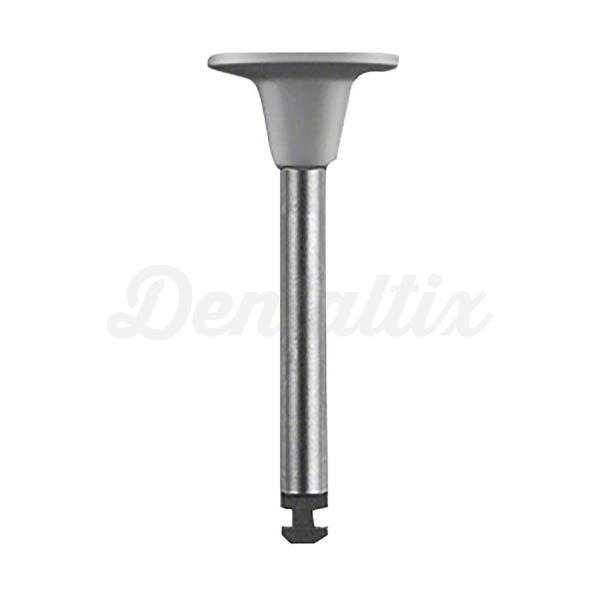 ECOLINE SHINERS F/COMPOSITE DISCO 12u Img: 202207091