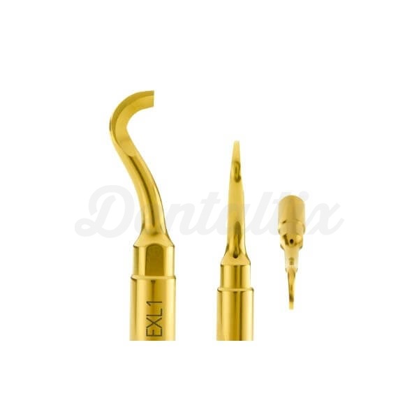 INSERT EXL-1 Img: 202211121