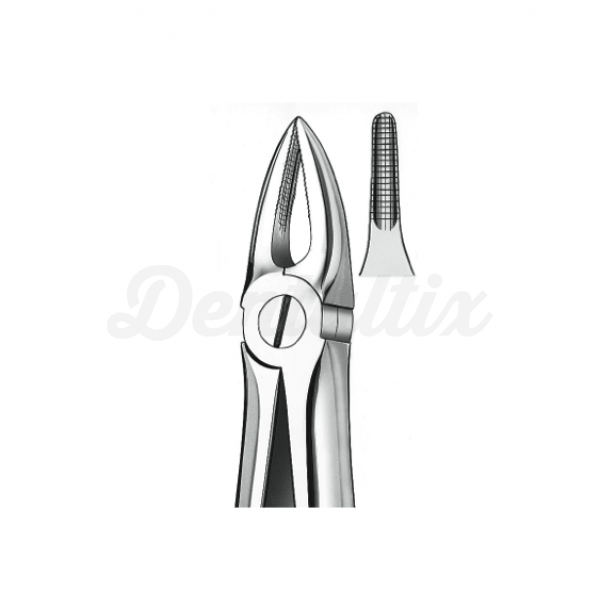 Forceps 29 Carl Martin Raices Superiores Img: 201807031