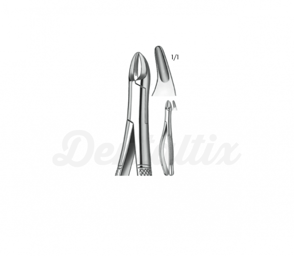 Forceps odontopediatría Cryer409/150S  Img: 201807031