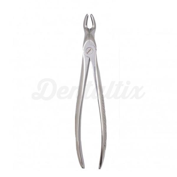 Forceps Figura 67A Img: 202204091