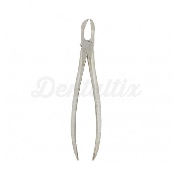 Forceps Figura 79 Img: 202204091