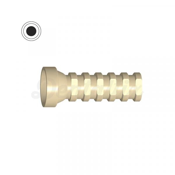 Cilindro Provisional Octagonal Interno (Straumann Bone Level NC®)- Peek Img: 202009121