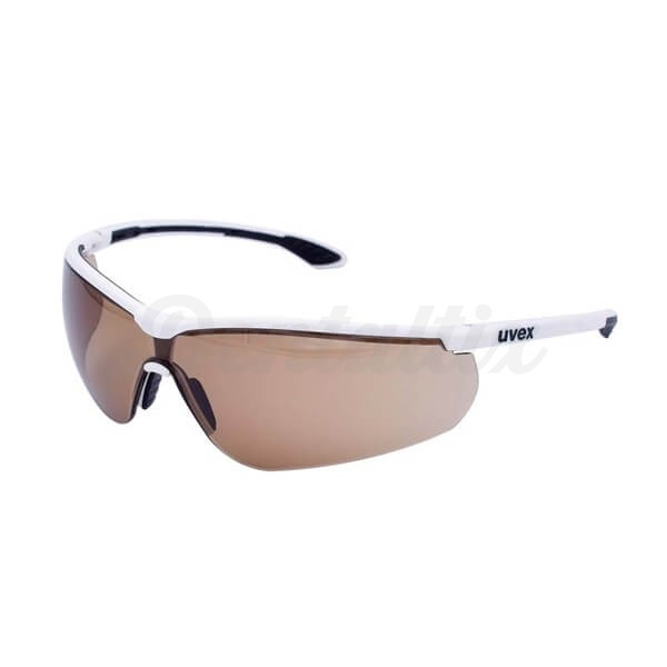 Gafas protectoras iSpec Comfort Fit