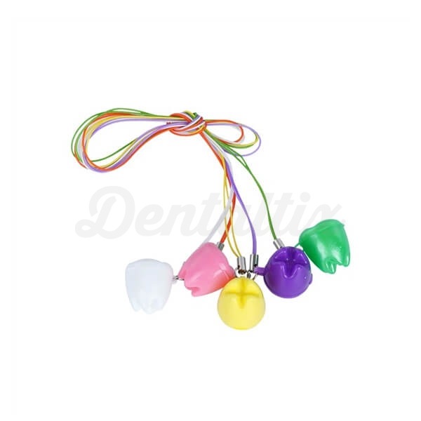 Guardadientes en Forma de Molar  Img: 202302111