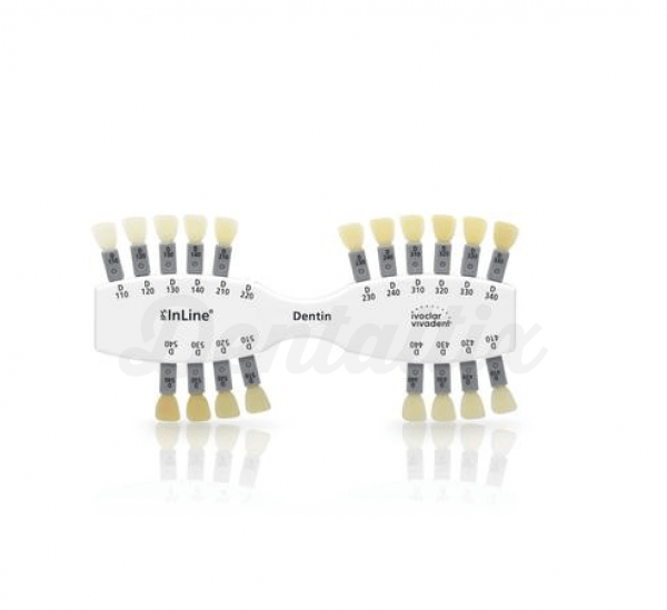 LLAVE DINAMOMÉTRICA REINER REINER DENTAL - Dentaltix