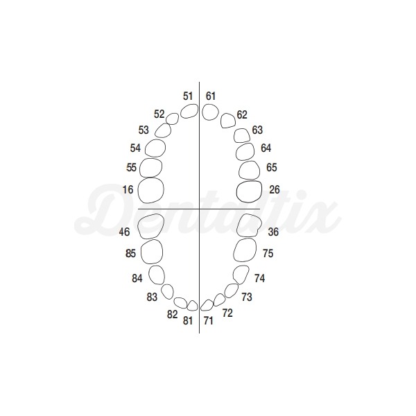 Kit dental AK6/2 Z