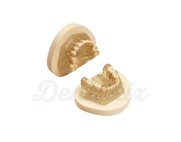 AM-5 E A: Tipodonto de Extracción para Odontopediatría con Placas de Montaje Img: 202009261