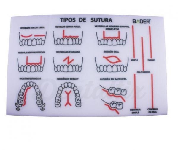 MODELO PARA PRÁCTICA DE SUTURA Img: 201807031