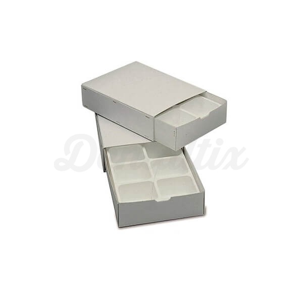 CONTENEDOR PARA MODELOS - 12 MODELOS VERTICALES Img: 202306031