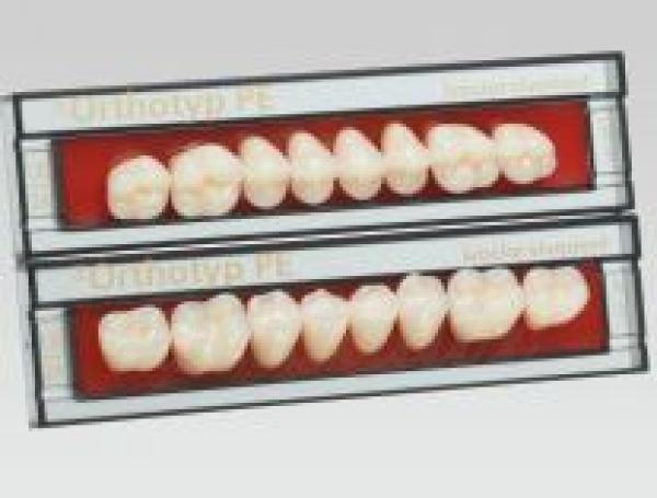 SR ORTHOTYP post inf N4 120 Img: 201807031