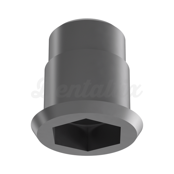 INTERFASE TITANIO EXT.HEX. ANTIRROT. RP Img: 201807031