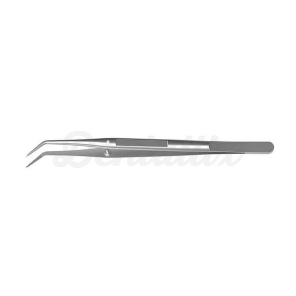 Pinza College LS-Passion Dental