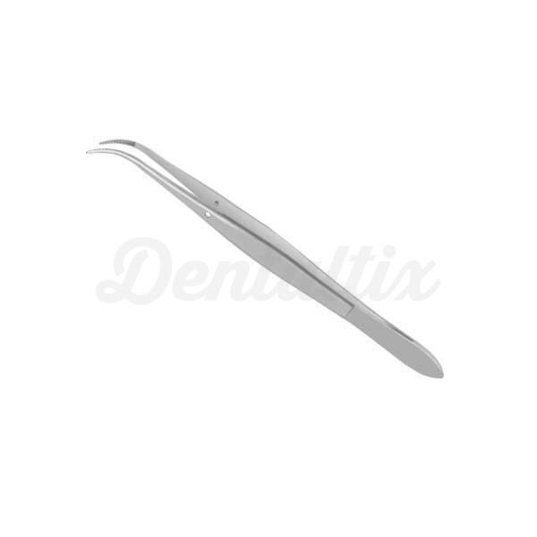 DP1 PINZA PERRY Img: 202208201