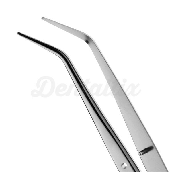 DP317 PINZA Img: 202207091