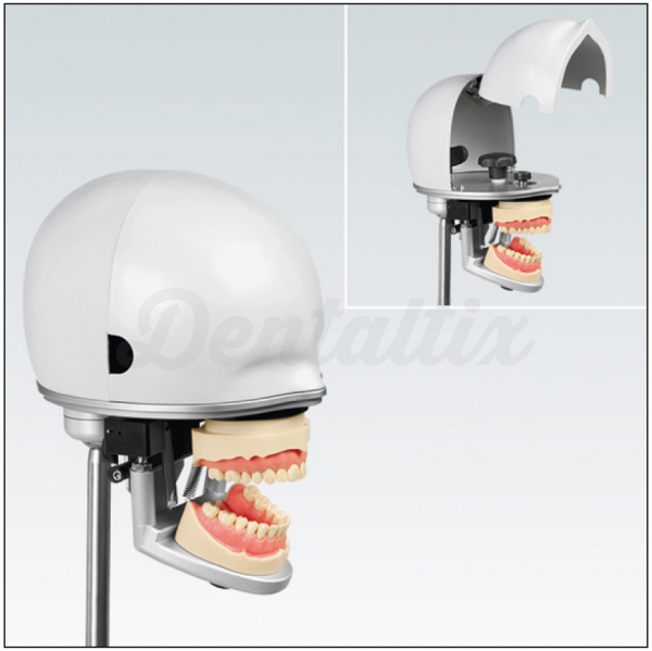 PK2: Modelo Fantoma de Cabeza Img: 202606271