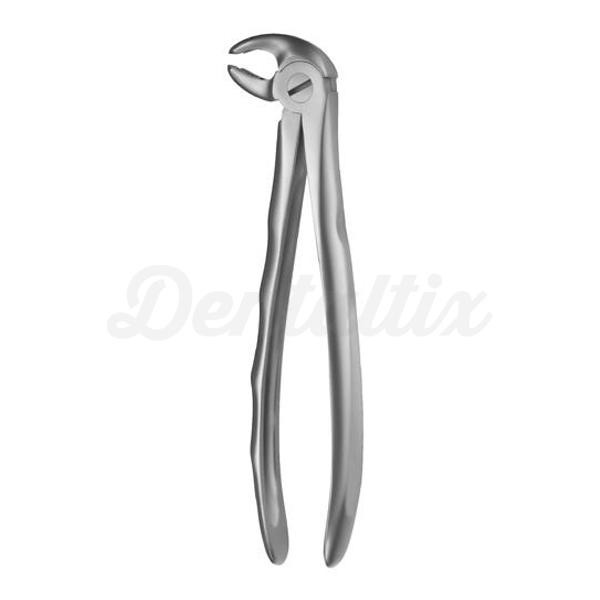 Forceps Figura 22 Img: 201807031