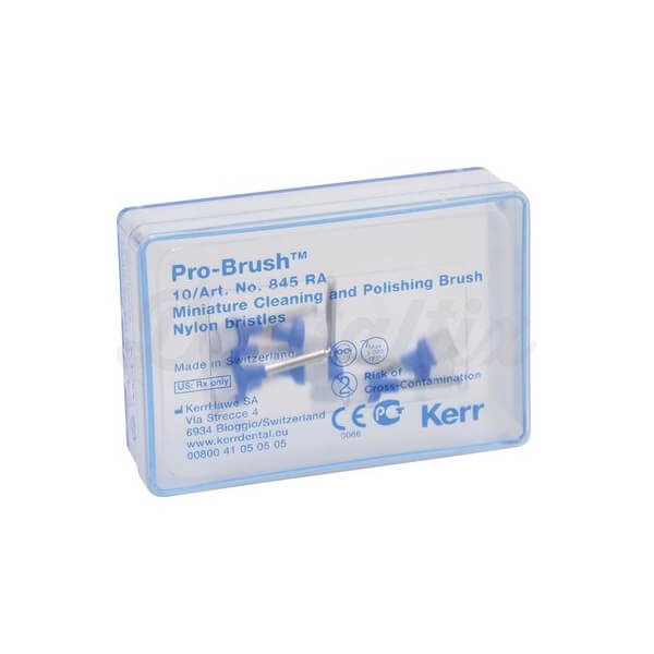 Pro-Brush: Cepillo de Nylon de Limpieza y Pulido Dental - 10 unidades Img: 202408101