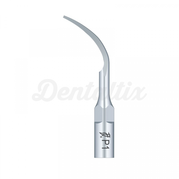 Punta Ultrasonidos Periodoncia tipo EMS - P1 Img: 202605021