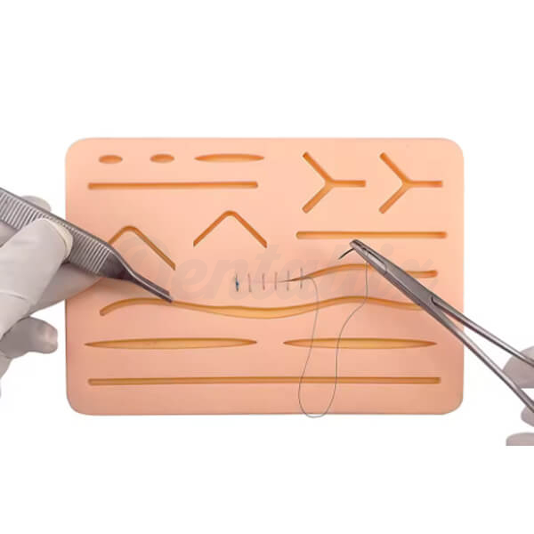 Modelo de Silicona para Suturas General Img: 202504121
