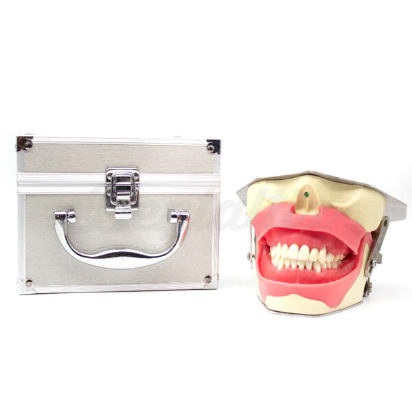 Simulador de Anestesia Dental Img: 202605091