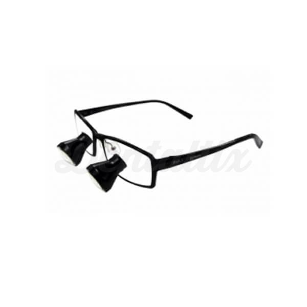 SLT TTL loupes 2.5X,340mm, Titanium Frame Img: 202111131