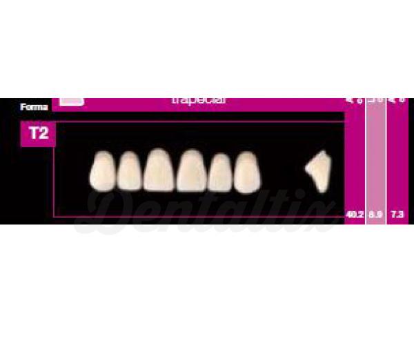 COSMO HXL ant sup T18 B3 Img: 201807031