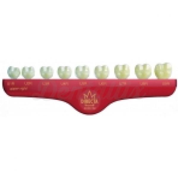 CORONAS POLICARBONATO OPACAS Nº 300 Img: 201807031