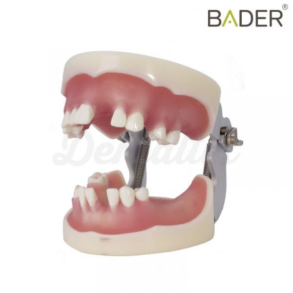 TIPODONTO PARA IMPLANTOLOGÍA CON ARTICULADOR BADER Img: 201807031