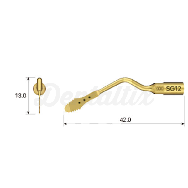 SG12: Inserto Cirugía Ósea Img: 202601241