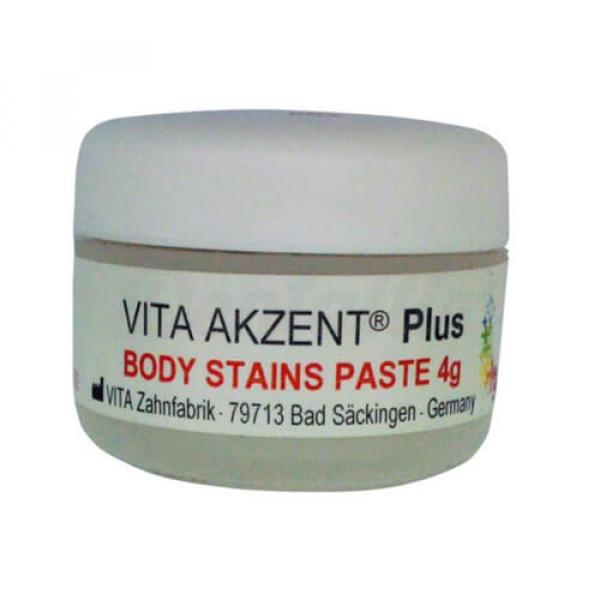 Vita Akzent Plus Body Stains BS02: Maquillaje en pasta para cerámica (4 gr)