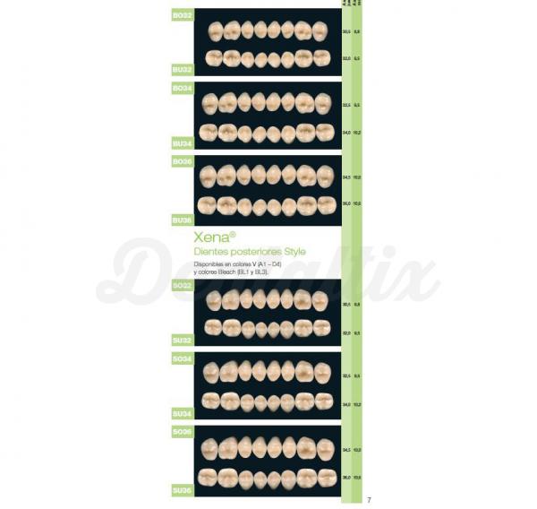 XENA post inf B34 A3 Img: 201807031