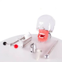 Modelo simulador: Fantoma - Simplicity Img: 202411091 Modelo simulador: Fantoma - Simplicity Img: 202411091