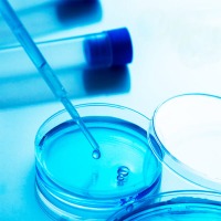 Análisis de Legionella en Agua para Equipos Dentales Img: 202406221