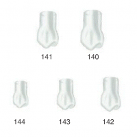 CORONAS TEMPORALES PRIMER PREMOLAR SUPERIOR DERECHA