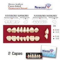 dientes newcryl 30l lo a4