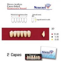 dientes newcryl 3d lo