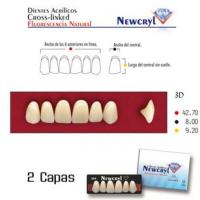 dientes newcryl 3n up