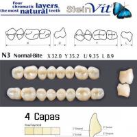 dientes steinvit n3 up 