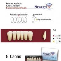 dientes newcryl 26 lo a1